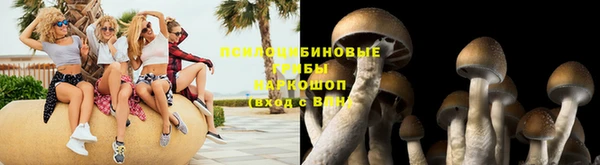МДПВ Горняк