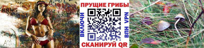 Псилоцибиновые грибы GOLDEN TEACHER  Купить где  Радужный 
